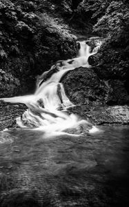 Preview wallpaper waterfall, stones, water, black and white, trees