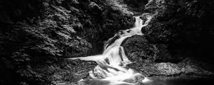 Preview wallpaper waterfall, stones, water, black and white, trees