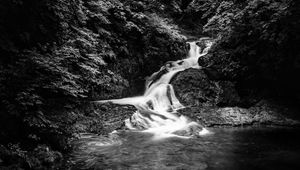 Preview wallpaper waterfall, stones, water, black and white, trees