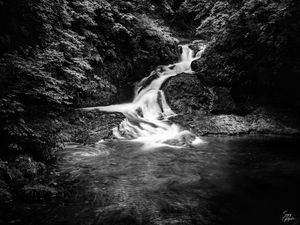 Preview wallpaper waterfall, stones, water, black and white, trees