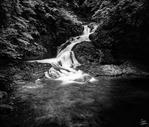 Preview wallpaper waterfall, stones, water, black and white, trees