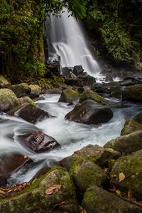 Preview wallpaper waterfall, stones, water, moss, stream, trees