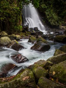 Preview wallpaper waterfall, stones, water, moss, stream, trees