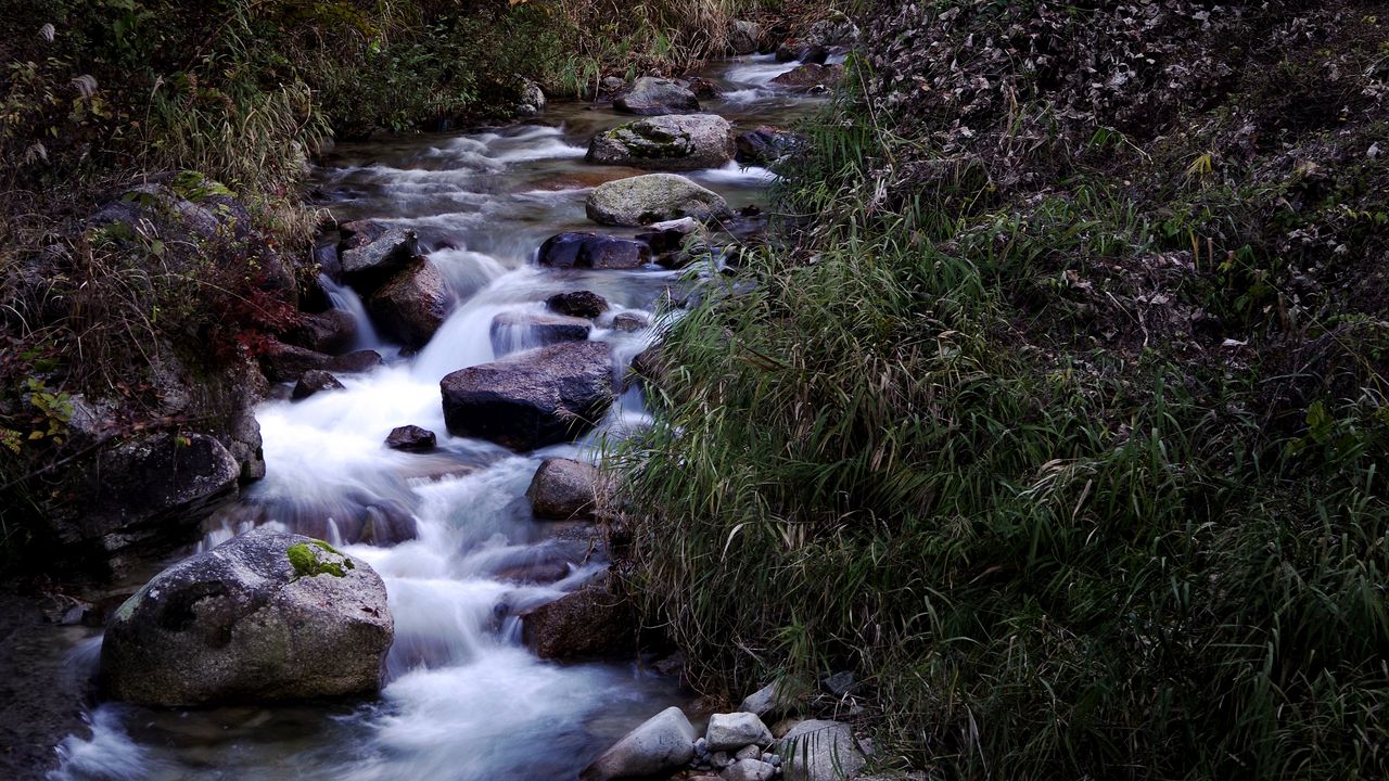 Wallpaper creek, stones, water, nature hd, picture, image