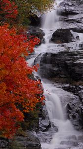 Preview wallpaper waterfall, stones, water, tree, autumn