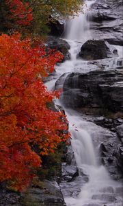 Preview wallpaper waterfall, stones, water, tree, autumn