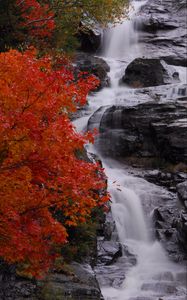 Preview wallpaper waterfall, stones, water, tree, autumn