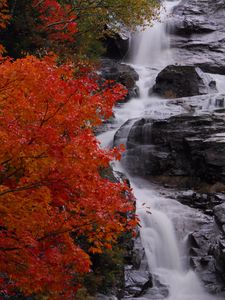 Preview wallpaper waterfall, stones, water, tree, autumn