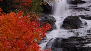 Preview wallpaper waterfall, stones, water, tree, autumn