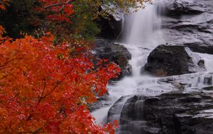 Preview wallpaper waterfall, stones, water, tree, autumn