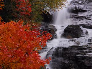Preview wallpaper waterfall, stones, water, tree, autumn