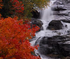 Preview wallpaper waterfall, stones, water, tree, autumn