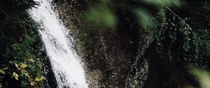 Preview wallpaper waterfall, stream, branches, spray