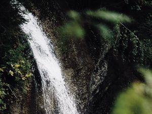 Preview wallpaper waterfall, stream, branches, spray