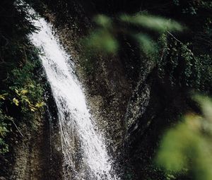 Preview wallpaper waterfall, stream, branches, spray