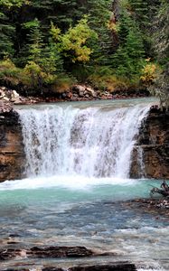 Preview wallpaper waterfall, stream, bushes, rocks, trees