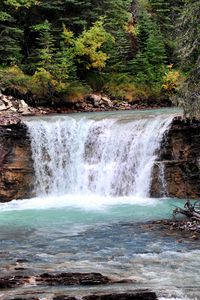Preview wallpaper waterfall, stream, bushes, rocks, trees