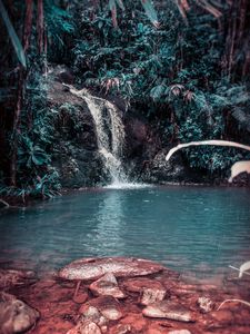 Preview wallpaper waterfall, stream, forest, jungle, tropical, spray, stones