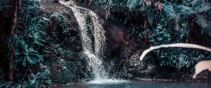 Preview wallpaper waterfall, stream, forest, jungle, tropical, spray, stones