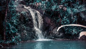 Preview wallpaper waterfall, stream, forest, jungle, tropical, spray, stones