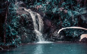Preview wallpaper waterfall, stream, forest, jungle, tropical, spray, stones