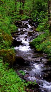 Preview wallpaper waterfall, stream, grass, moss, trees