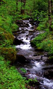 Preview wallpaper waterfall, stream, grass, moss, trees