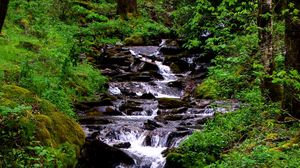 Preview wallpaper waterfall, stream, grass, moss, trees
