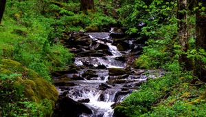 Preview wallpaper waterfall, stream, grass, moss, trees