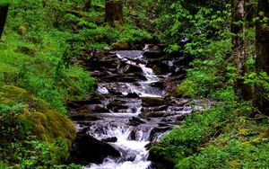 Preview wallpaper waterfall, stream, grass, moss, trees