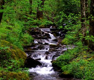 Preview wallpaper waterfall, stream, grass, moss, trees