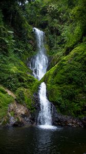 Preview wallpaper waterfall, stream, rock, water, moss, bushes