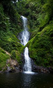 Preview wallpaper waterfall, stream, rock, water, moss, bushes