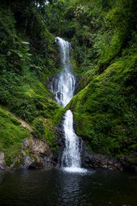 Preview wallpaper waterfall, stream, rock, water, moss, bushes