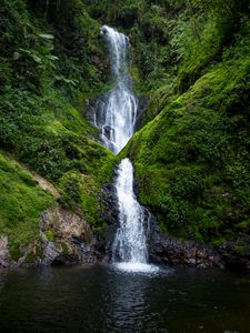 Preview wallpaper waterfall, stream, rock, water, moss, bushes