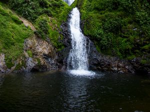 Preview wallpaper waterfall, stream, rock, water, moss, bushes