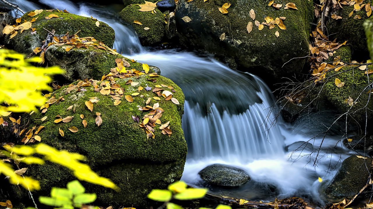 Wallpaper waterfall, stream, rocks, leaves