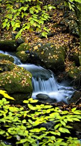 Preview wallpaper waterfall, stream, rocks, leaves