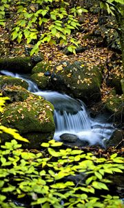 Preview wallpaper waterfall, stream, rocks, leaves