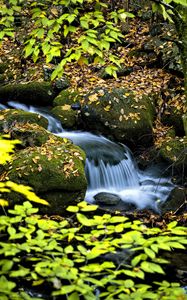 Preview wallpaper waterfall, stream, rocks, leaves