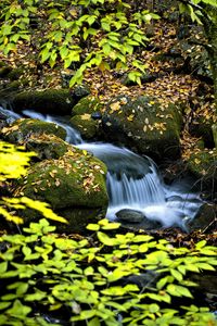 Preview wallpaper waterfall, stream, rocks, leaves