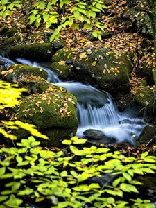 Preview wallpaper waterfall, stream, rocks, leaves