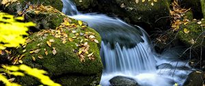 Preview wallpaper waterfall, stream, rocks, leaves