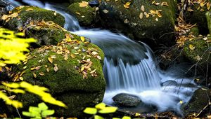 Preview wallpaper waterfall, stream, rocks, leaves