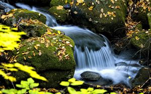 Preview wallpaper waterfall, stream, rocks, leaves