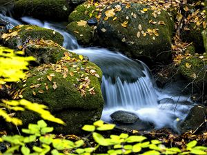 Preview wallpaper waterfall, stream, rocks, leaves