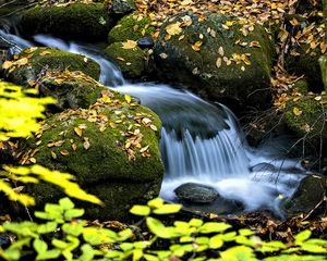 Preview wallpaper waterfall, stream, rocks, leaves