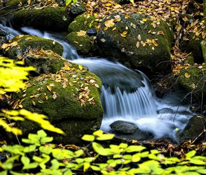 Preview wallpaper waterfall, stream, rocks, leaves