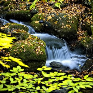 Preview wallpaper waterfall, stream, rocks, leaves