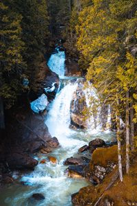 Preview wallpaper waterfall, stream, rocks, stones, trees